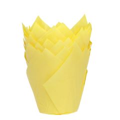 House of Marie Pirottini Muffin Tulipano Giallo conf/36