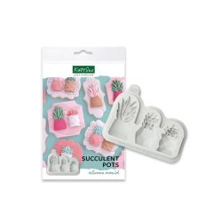 Katy Sue Mould Pots à Succulents