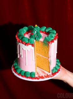 Colour Mill Project Sheet Festive Cake