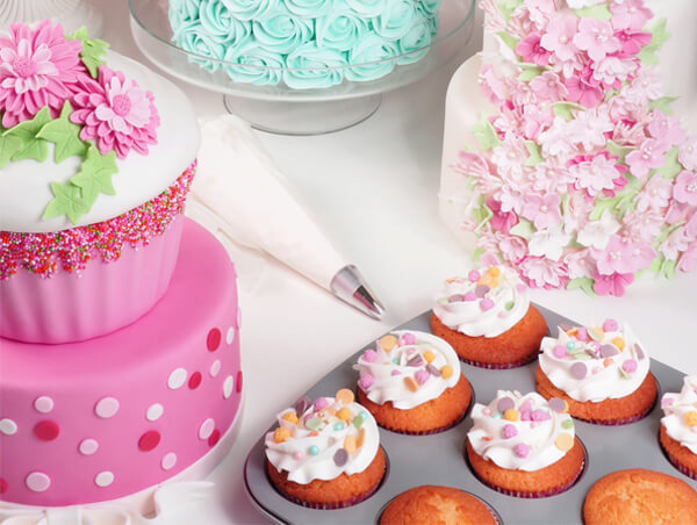 Supplier of all your baking and cake decorating products CakeSupplies