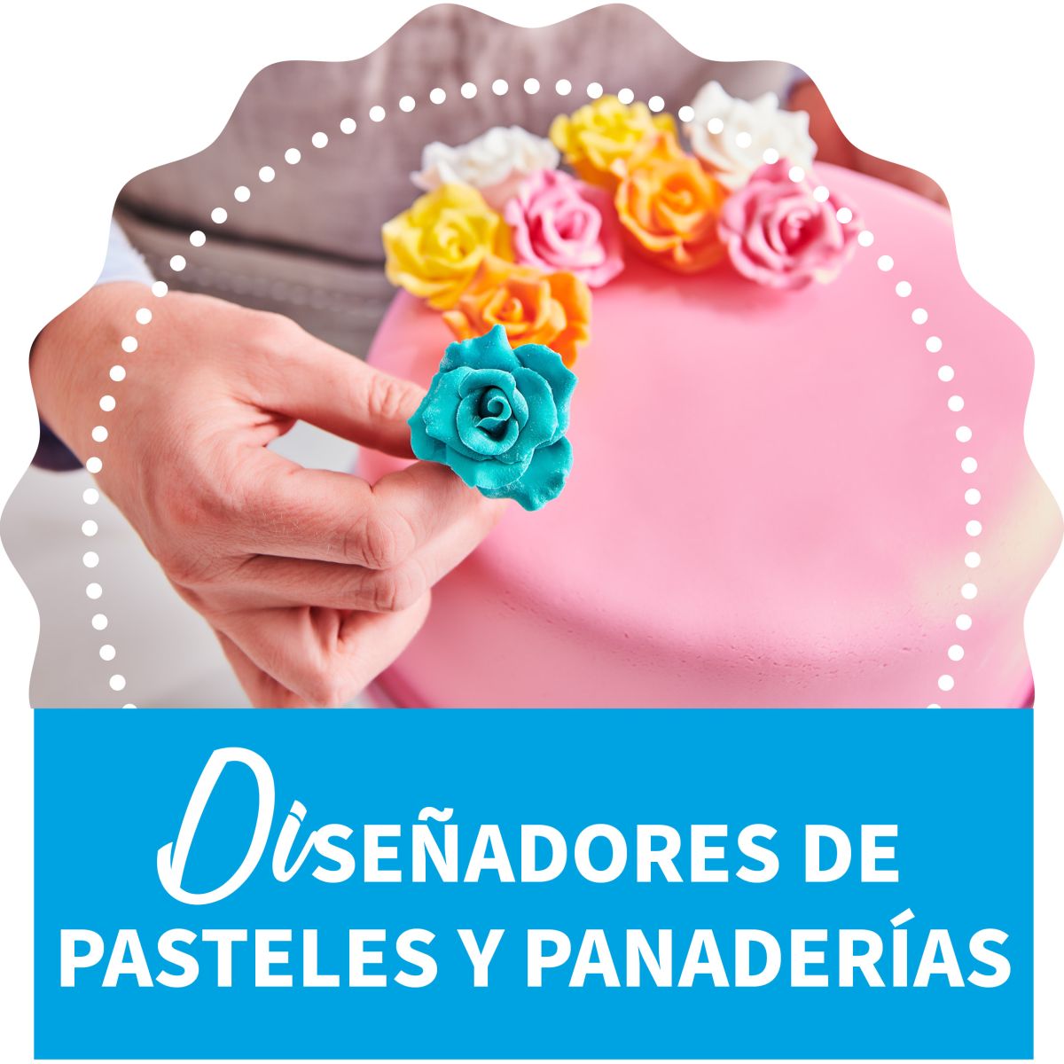 Cake Designers & Bakeries